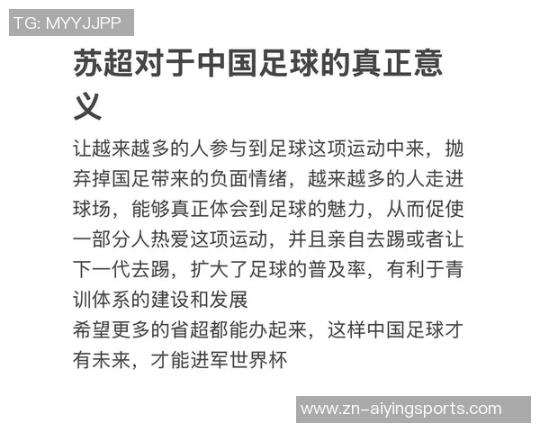 足球冲突背后的真相与影响探讨球场上的对抗与社会问题的交织